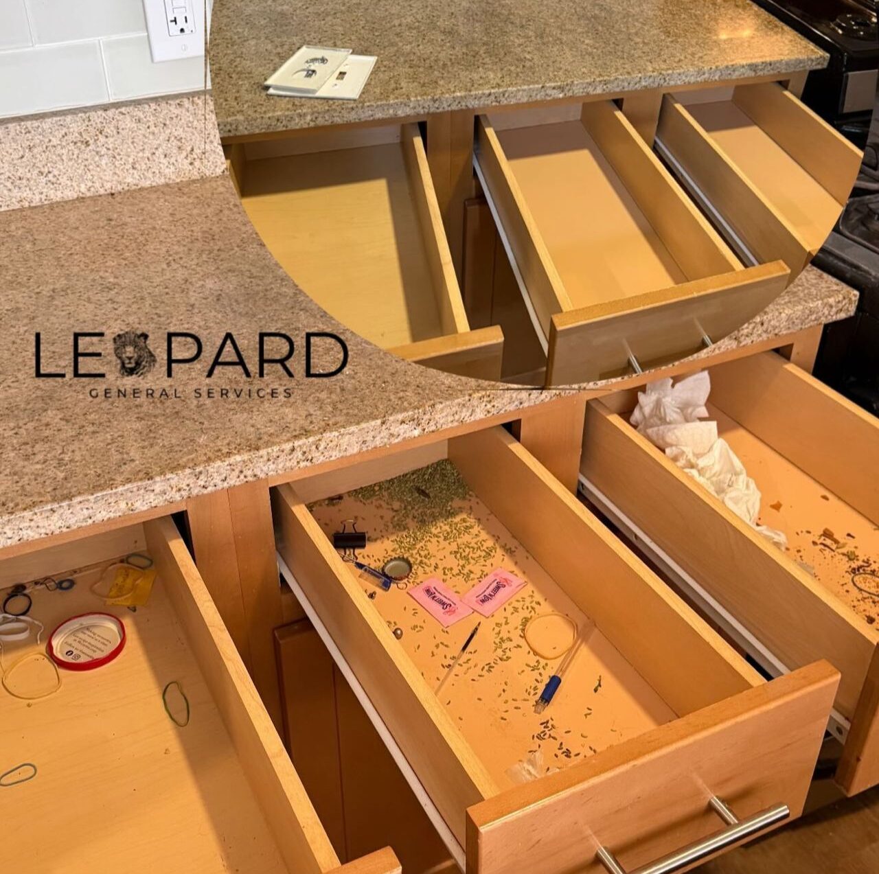 WhatsApp Image 2026-01-19 at 16.52.53